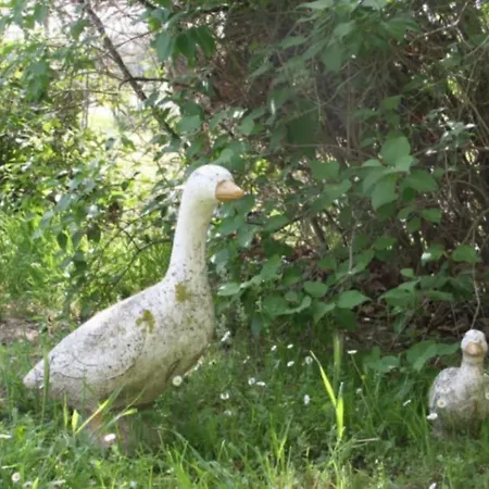 Le Mas Des Anges De Flo